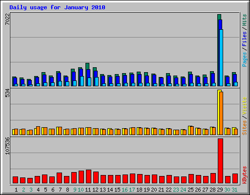 Daily usage for January 2010